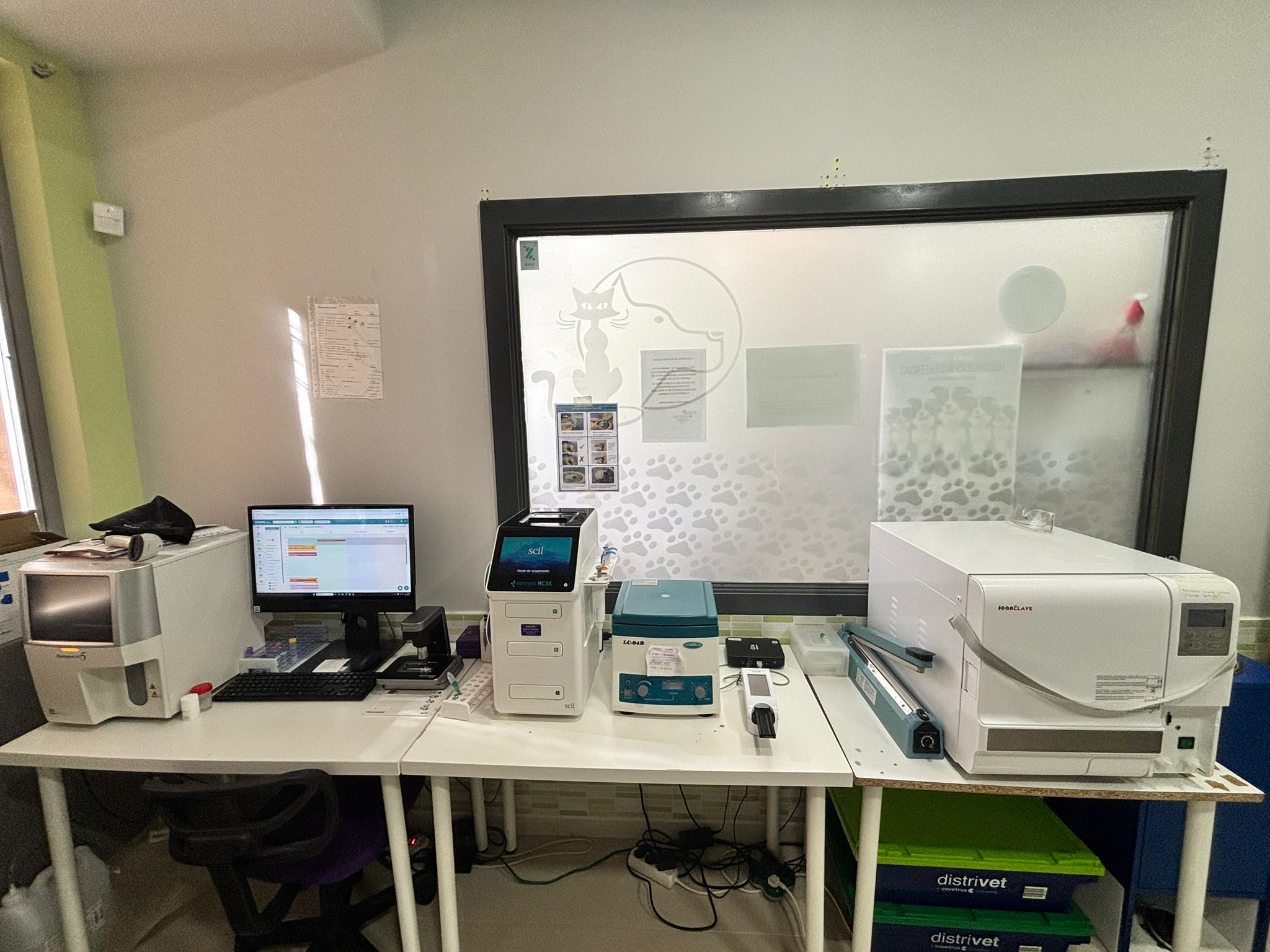 Imagen de WhatsApp 2025-10-28 a las 13.17.21_af94fb86