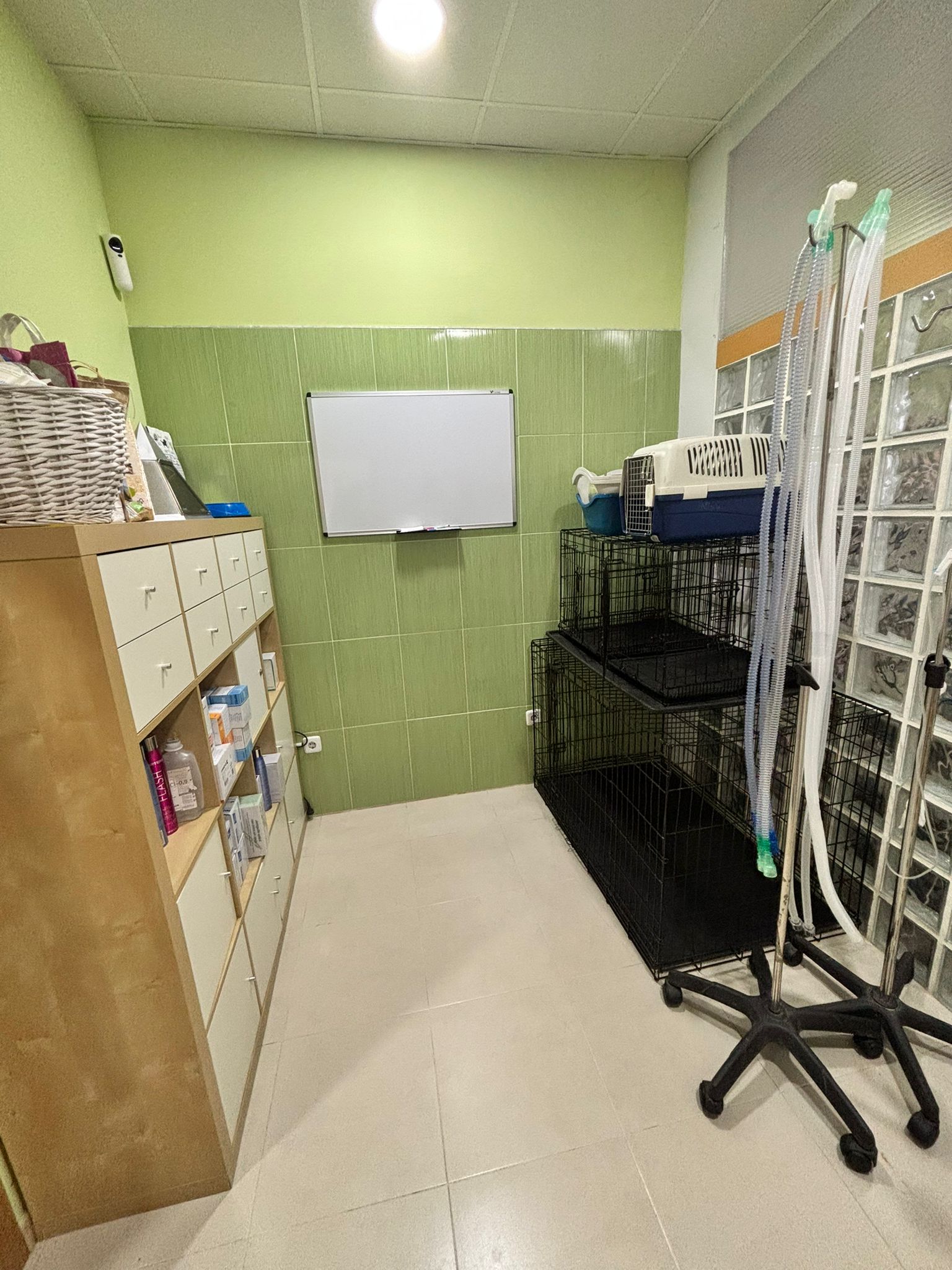 Imagen de WhatsApp 2025-10-28 a las 13.24.34_0d02d4fd